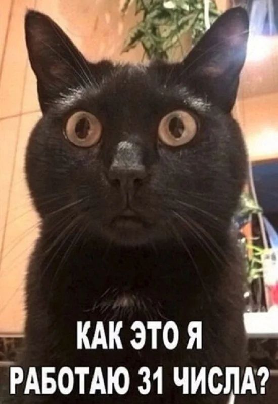 КАК ЭТО Я _РАБОТАЮ 31 ЧИСЛА