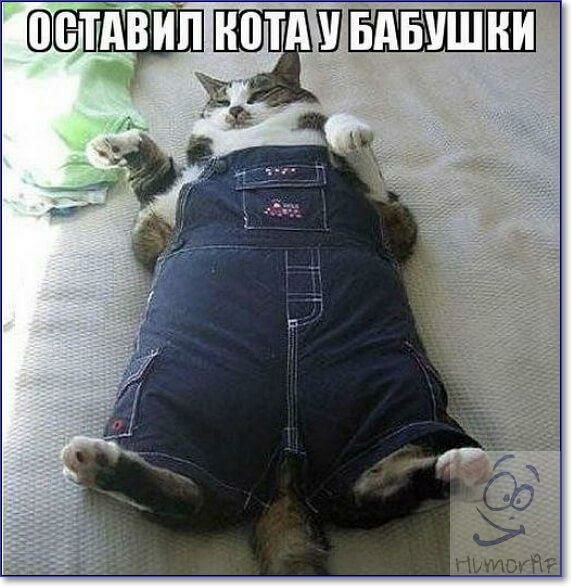пилок