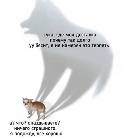 а чт спиды авт НИЧЕГО прашивго я подржцу все хорошо