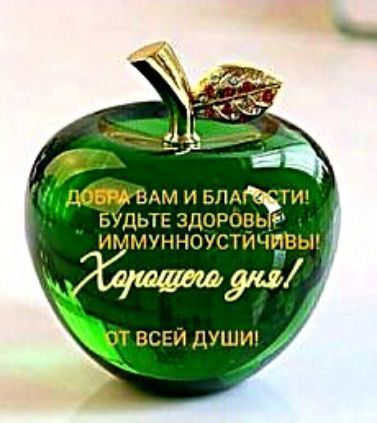 чдощвдм и БПА ТИ БУДЬТЕ ЗДОРОВЬ ИММУННОУСТЙЧИВЫ эт ТВСЕИ дУШИ