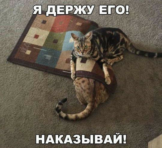 НАКАЗЫВАЙ д