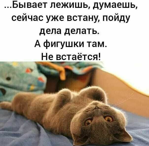 Бывает лежишь думаешь сейчас уже встану пойду дела делать А фигушки там Не встаётся