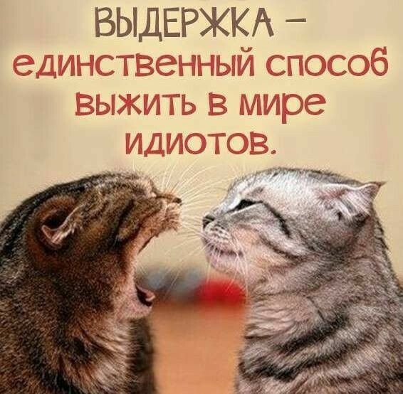 Выдержка  единственный способ выжить в мире идиотов.