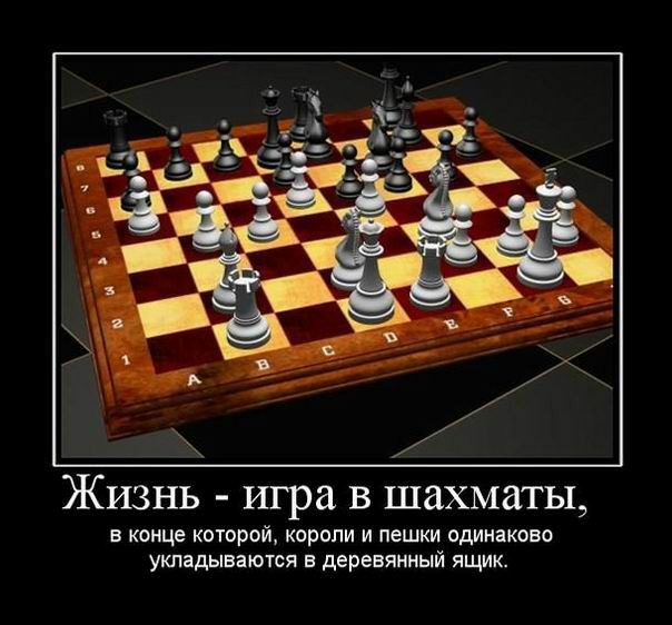 Жизнь игра в шахматы в конце которой короли и пешки одинаково укладываются в деревянный ящик