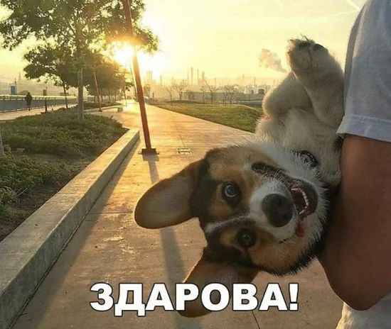 здАБОВА