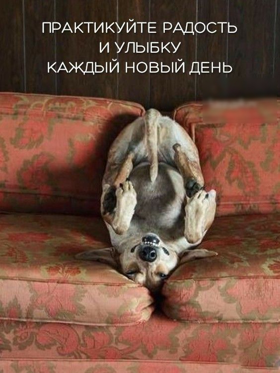 ПРАКТИКУЙТЕ РАД сть и улывку КАЖДЫЙ новый дЕНЬ