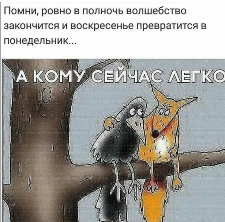 ПОМНИ РОВНО В ПОЛНОЧЬ ВОЛШЭбСТВО ЗЭКОНЧИТСЯ И воскресенье превратится В ПОНЕДЕЛЬНИК