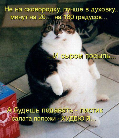 г _аухпгэку сыром