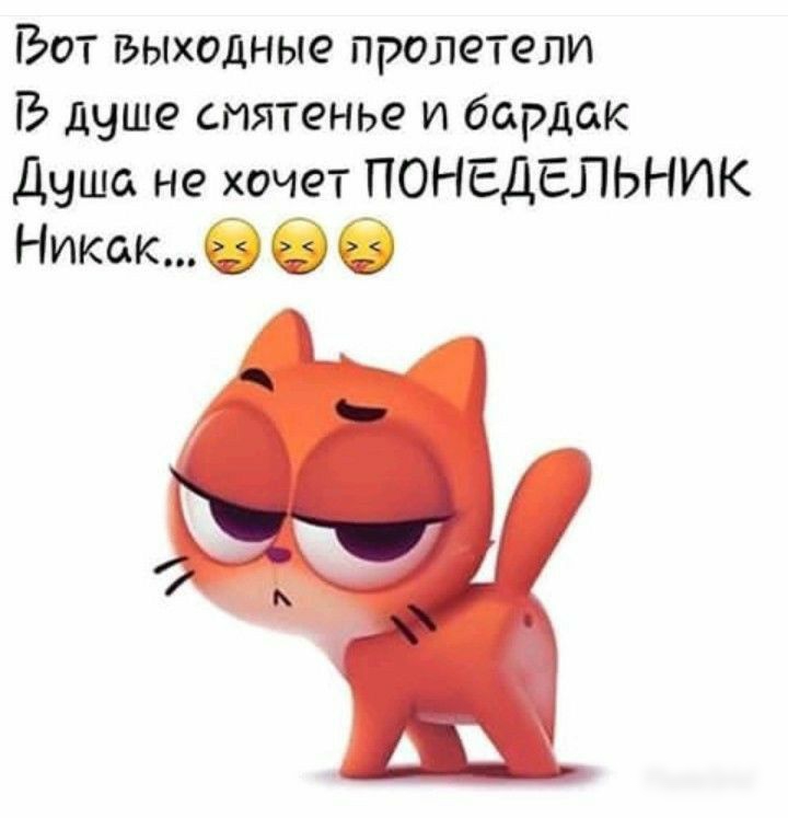 Бот выходные пролетели В душе смятенье и бардак Душа не хочет ПОНЕДЕЛЬНИК Никак С