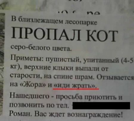 1 О В близлежащем лесоппрк ПРОПАЛ КОТ серобело цвсга Приметы пушистый упитанный 4 5 кг верхние шпики ныпшн от старости на спине шрам Опышпсд на Жора и ШШ драть Пшпсдшсш просьба прпюппь и пшюшггь по тел _ Роман Вас ждет иошшражлсииы