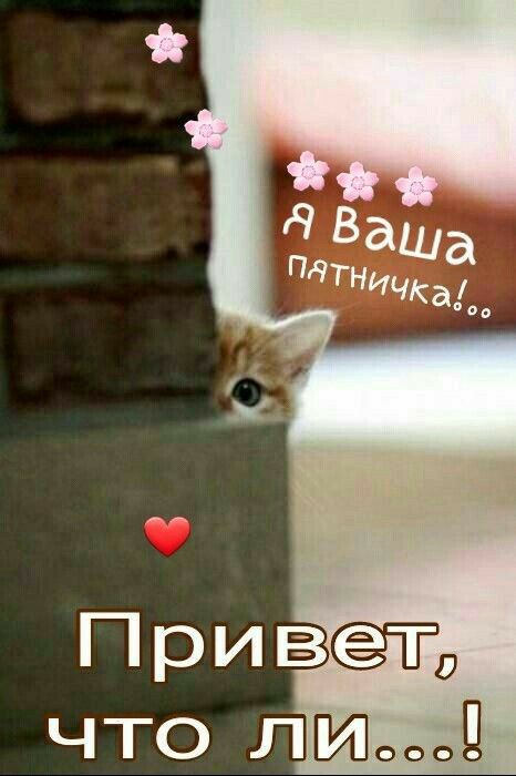 Что лйй