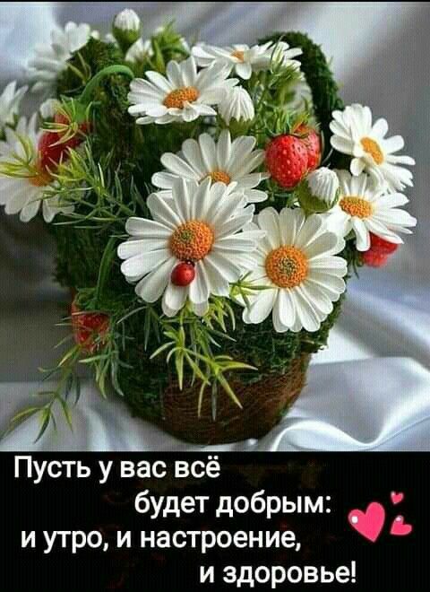 Пусть у вас ёё будет добрым и утро и настроение и здоровье