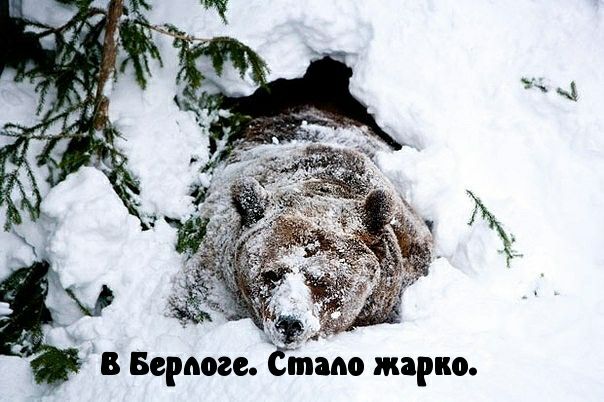 ЗМ жарко в Берти