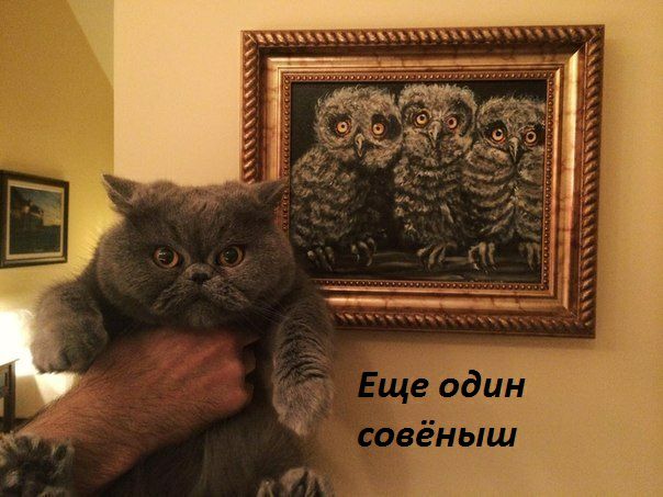 33э п А у 1 и