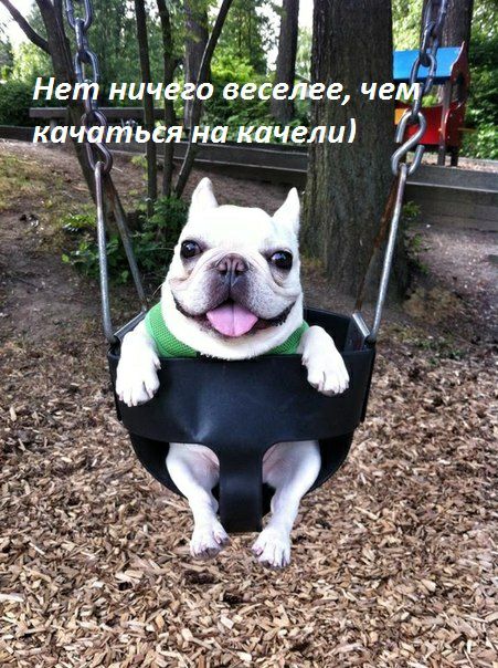 3 ни _ёчіфьгінфкачеиш