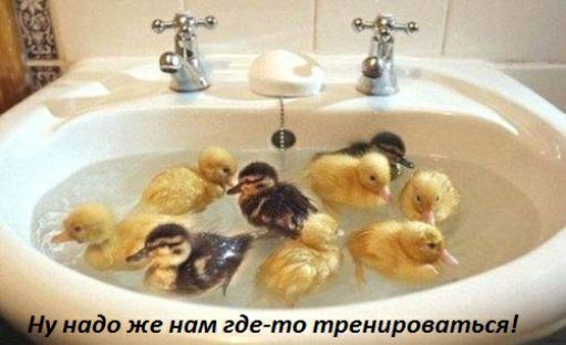 0 же нам где то трениравш