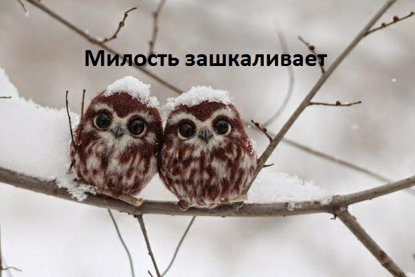 Ь ЗЗЩКЗЛИВЗ