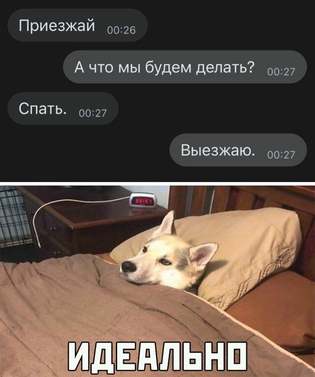 Приезжай 0026 А что мы будем делать 0027 Спать 0027 Выезжаю 0027