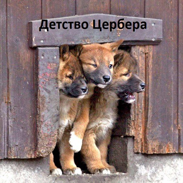 ра