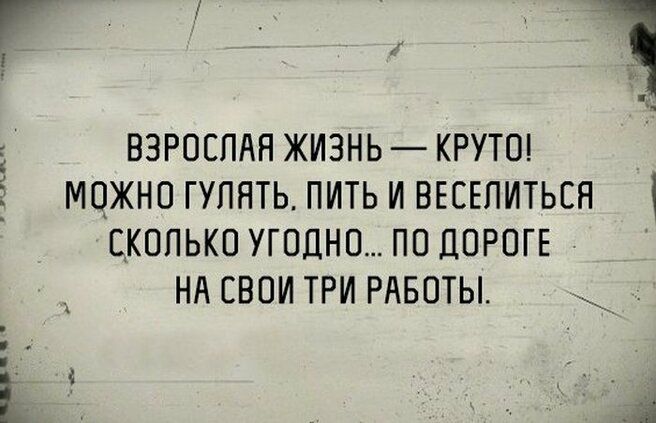 ВЗРОСПАЯ ЖИЗНЬ КРУТО МОЖНО ГУЛЯТЬ ПИТЬ И ВЕСЕПИТЬЕН СКОЛЬКО УГОДНО ПО ДОРОГЕ НА СВОИ ТРИ РАБОТЫ
