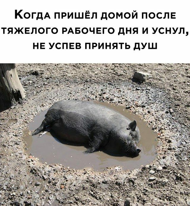 КогдА пришЁл домой послв тяжелого РАБОЧЕГО дня и уснул не успвв принять душ
