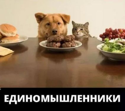 ЕДИНОМЫШЛЕННИКИ