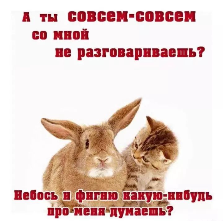 тн СОВСЕПБПВЕЕП В ППі ЗЗГОВЗРПВЗЕ Ъ