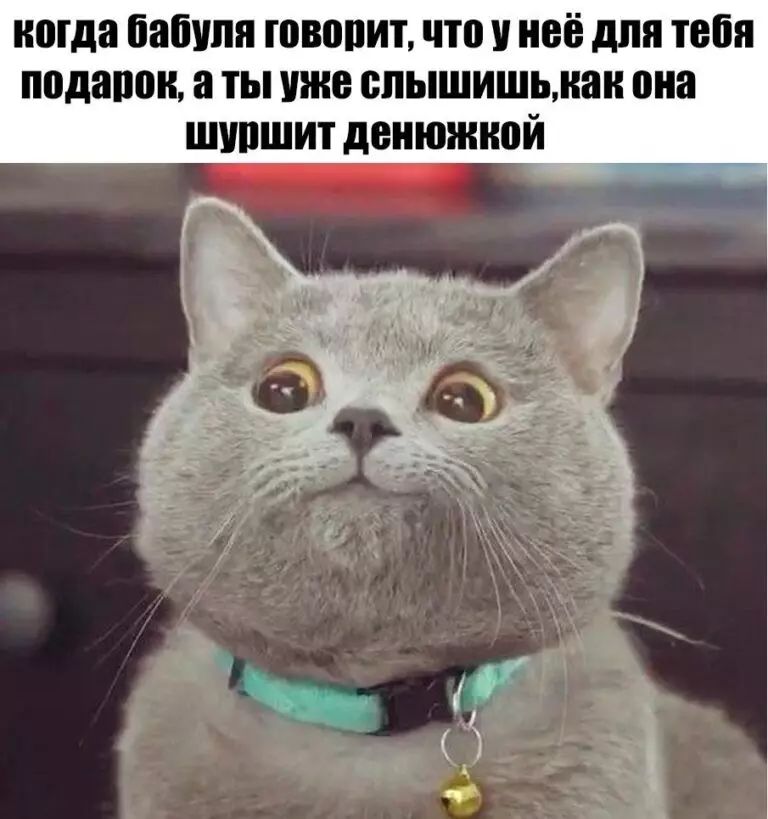 ноша бабуля ювопит что у неё для тебя подавив а ты уже спышишьман она шупшит денюжной