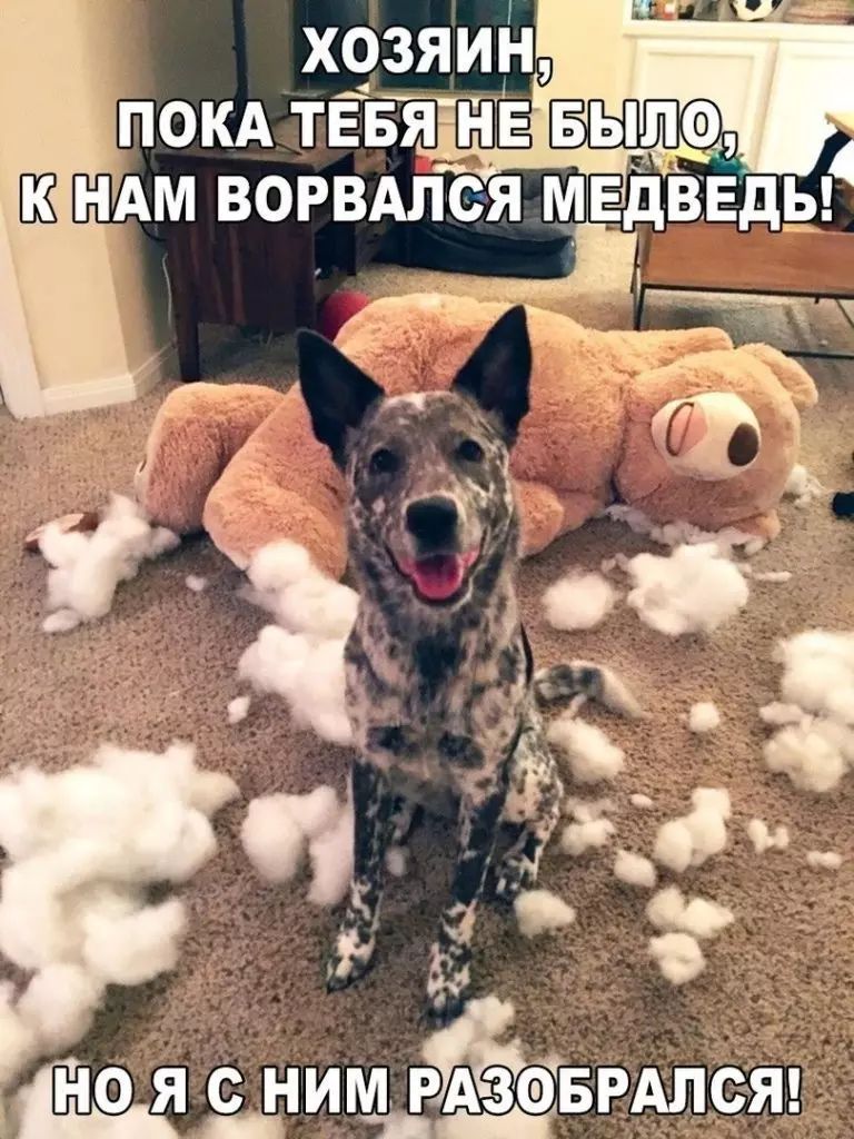 Ои