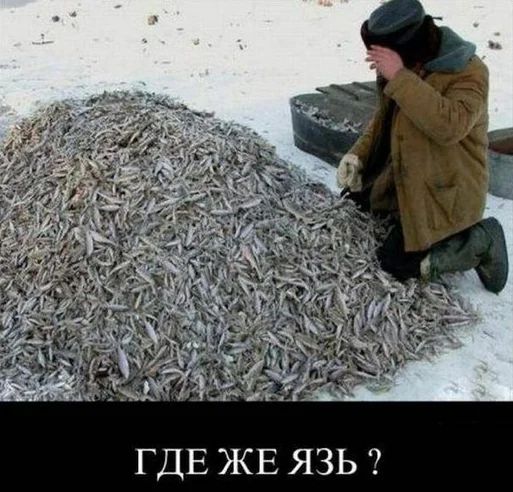 ГДЕ ЖЕ язь