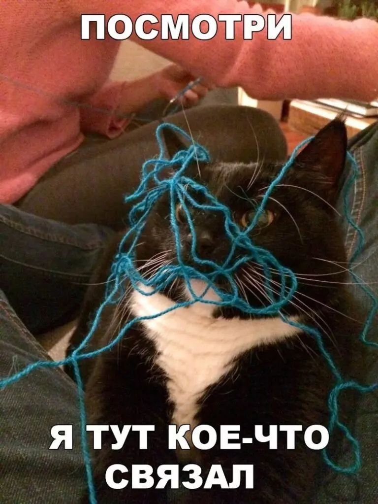 СВЯЗАЛ яітут ков что