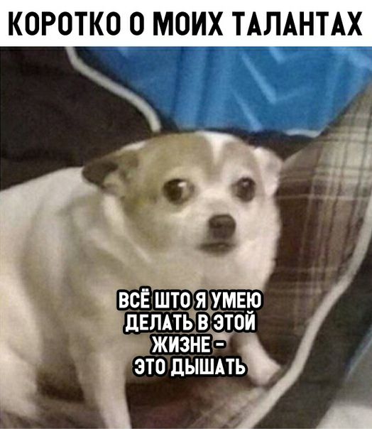 ВСЁ ШТОЯДАМЕЮ дЕПАТЬАВЭЮЙ жизне