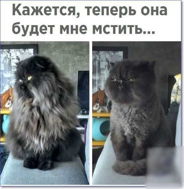 Кажется теперь она будет мне мстить