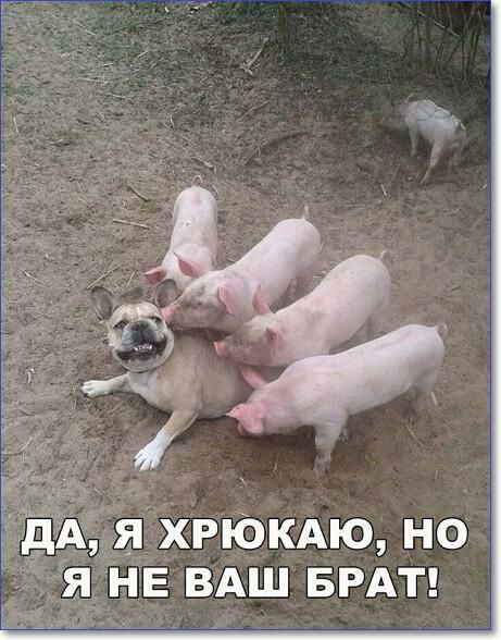 яХРЮКАю но НЕ ВАШ БРАТ