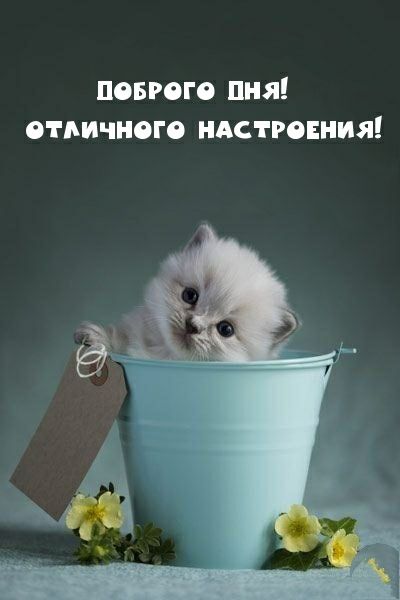 повгого пня отличного ндстгоіния