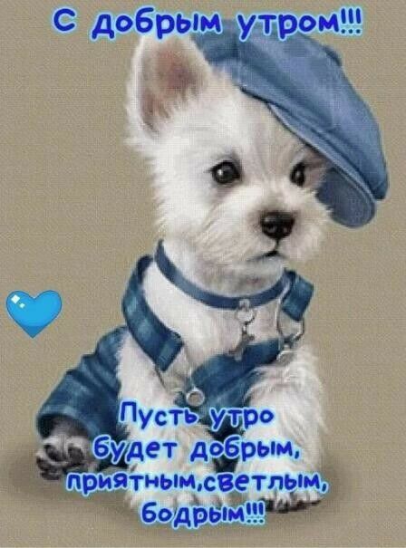иячгныщсветпьм Жбявйддёіёжёз