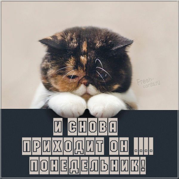 Й ваова пваажеоттам 8 птотатета ер ве аа