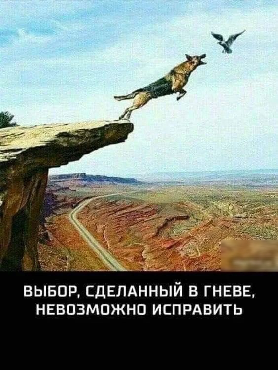 ВЫБОР СДЕЛАННЫЙ В ГНЕВЕ НЕВОЗМОЖНО ИСПРАВИТЬ