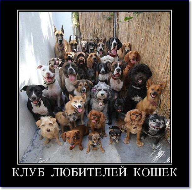 КЛУБ ЛЮБИТЕЛЕЙ КОП1ЕК