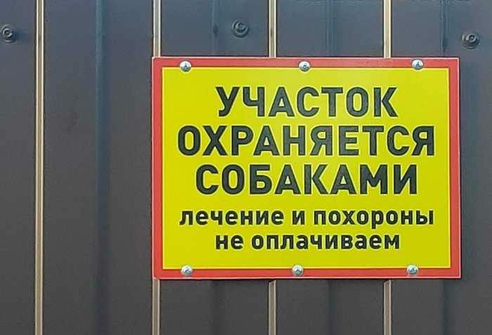 ОЖ Нг ЕТС А Б1М пацсчзіпшед ш щщыы тещоаеш