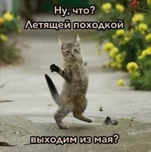Ну,что? Е  ллетящейпоходкой