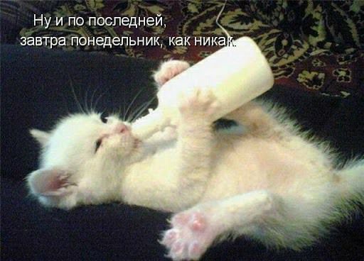 Ну и по последней завтра понедельник как ника