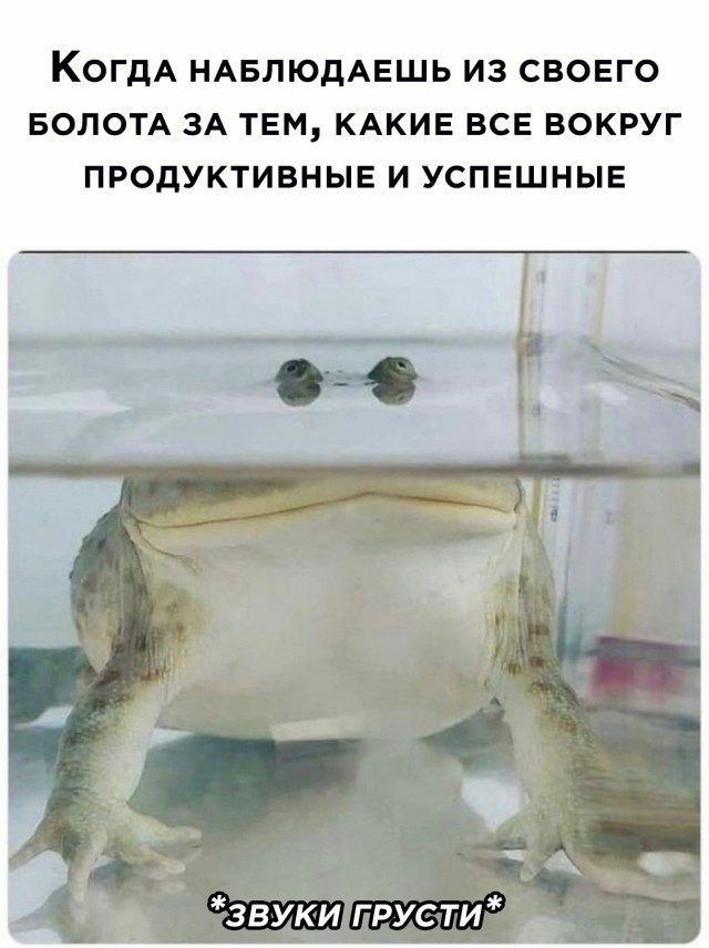 КОГДА НАБЛЮДАЕШЬ ИЗ СВОЕГО БОПОТА ЗА ТЕМ КАКИЕ ВСЕ ВОКРУГ ПРОДУКТИВНЫЕ И УСПЕЩНЫЕ