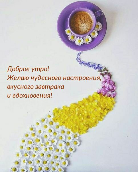 Доброе утро Желаю чудесного настроения вкусного завтрака и вдохновения