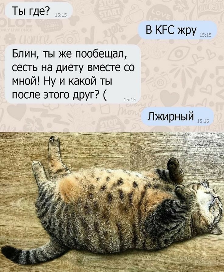 Ты где 1 В КРС жру 1515 Блин ты же пообещал сесгь на диету вмесге со мной Ну и какой ты после этого друг 15 Ч Лжирный 1