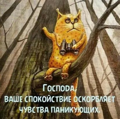 _ Госпощ ВАШЕ спокойствие ас __ чувствд пдиикф _