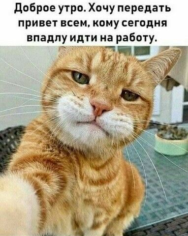 доброе утро Хочу передать привет всем кому сегодня впадлу идти на работу
