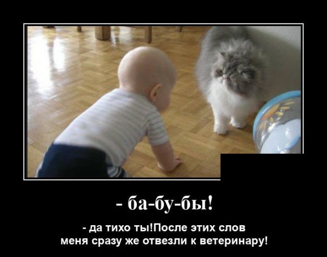 ба бу бы да тихо тыПосле этих слов меня сразу же отвезли к ветеринару