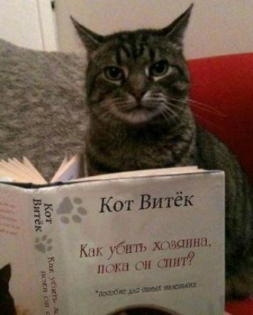 Кн 1 хп зьппш Нъ пп лип тыщщ им