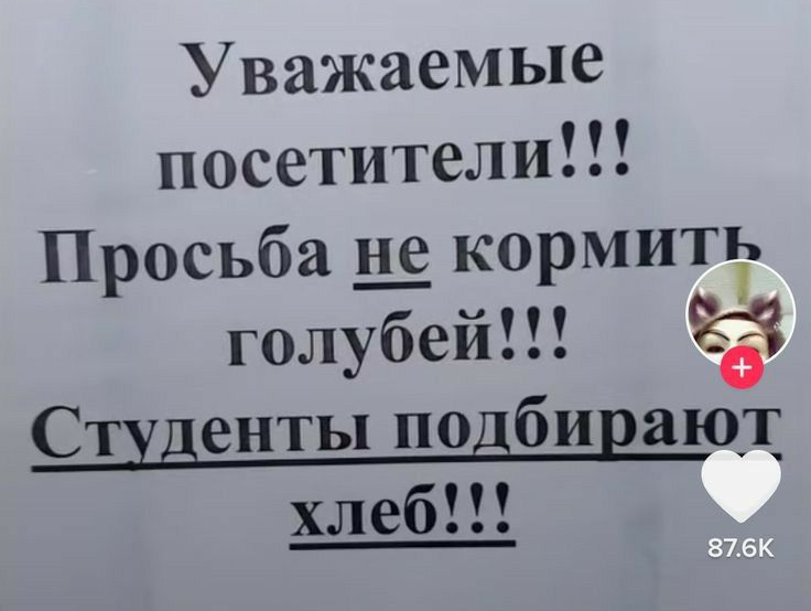 Уважаемые посетители Просьба не кормит голубей Студенты подбирают хлеб